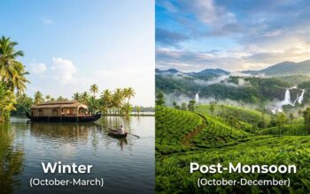 Banner image comparing the best time to visit South India: A sunny Kerala backwater houseboat (left) versus the misty Western Ghats tea plantations after the rainy season in Southern India (right).
