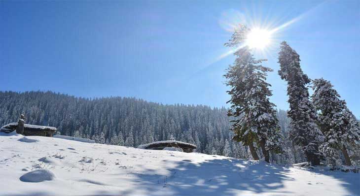 Kashmir spring wildflower meadows in Pahalgam in April — romantic honeymoon destination India