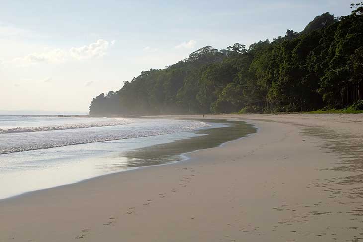 Radhanagar Beach on Havelock Island, Andaman — turquoise water and white sand ranked among Asia's best beaches