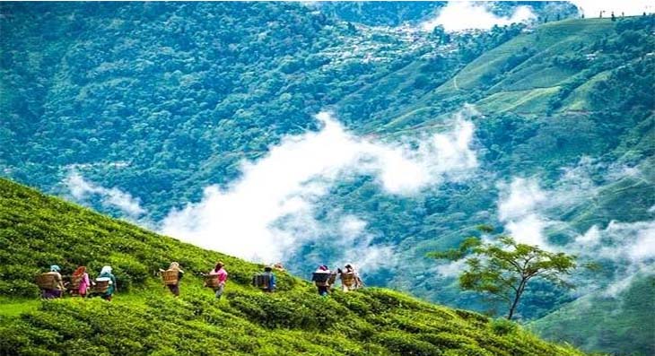 Breathtaking view of Darjeeling tea gardens and Himalayan peaks – scenic summer tourist place in India