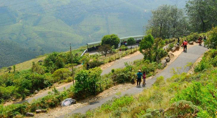 Lush green tea plantations of Munnar Kerala – best summer vacation spot in India for nature lovers
