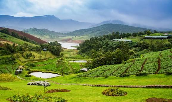 Scenic landscapes of Coorg and Ooty for couples visiting India