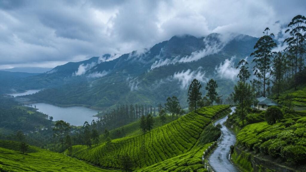 Munnar tea plantations during monsoon in Kerala India