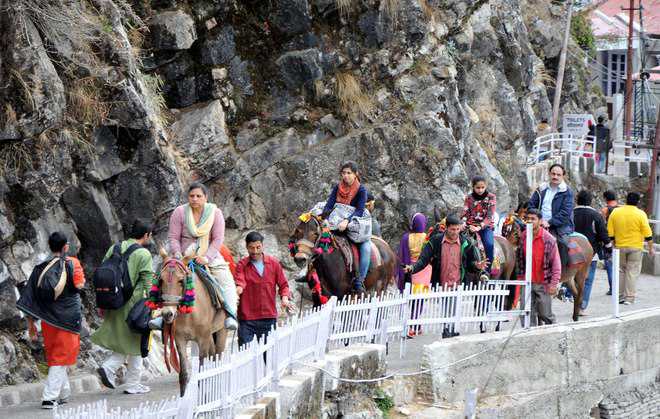 Pilgrims on the Vaishno Devi trek from Katra