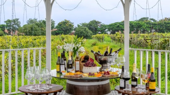 Outdoor wine tasting terrace overlooking vineyard rows in Nashik
