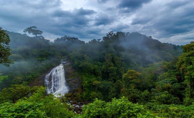 Waterfalls and forests in Wayanad during monsoon