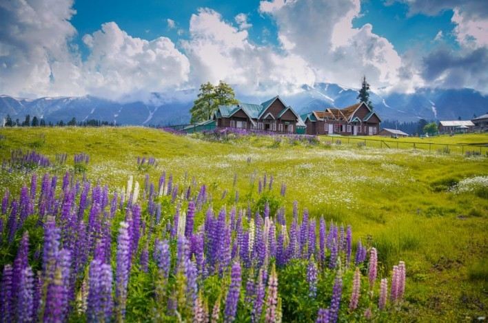 Golden Triangle tour with Kashmir